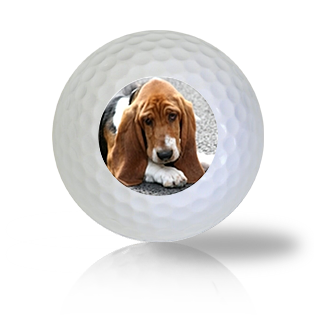 Basset hound deals balls