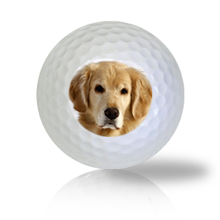 Golden Retriever Golf Balls Used Golf Balls