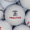 Bulk NEW Titleist NXT Tour Practice Range Balls Used Golf Balls - Halfpricegolfballs.com