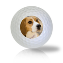 Beagle Golf Balls - Halfpricegolfballs