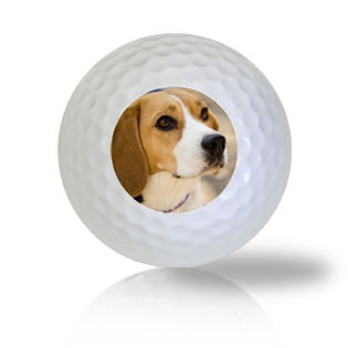 Beagle Golf Balls - Halfpricegolfballs