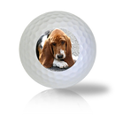 Basset Hound Golf Balls - Half Price Golf Balls - Canada's Source For Premium Used & Recycled Golf Balls