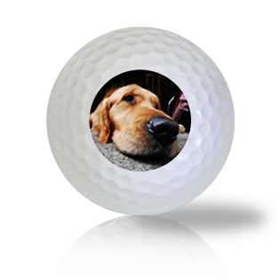 Sleepy Dog Golf Balls - Half Price Golf Balls - Canada's Source For Premium Used & Recycled Golf Balls