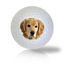 Golden Retriever Golf Balls - Half Price Golf Balls - Canada's Source For Premium Used & Recycled Golf Balls