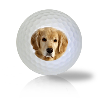 Golden Retriever Golf Balls - Half Price Golf Balls - Canada's Source For Premium Used & Recycled Golf Balls
