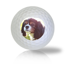 King Charles Spaniel Golf Balls - Half Price Golf Balls - Canada's Source For Premium Used & Recycled Golf Balls