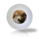 Pomeranian Golf Balls - Half Price Golf Balls - Canada's Source For Premium Used & Recycled Golf Balls