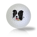 Border Collie Golf Balls - Half Price Golf Balls - Canada's Source For Premium Used & Recycled Golf Balls