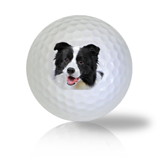 Border Collie Golf Balls - Half Price Golf Balls - Canada's Source For Premium Used & Recycled Golf Balls