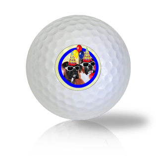 Cute Birthday Boxers in Party Hats Golf Balls - Half Price Golf Balls - Canada's Source For Premium Used & Recycled Golf Balls