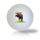 Moose Golf Balls - Half Price Golf Balls - Canada's Source For Premium Used & Recycled Golf Balls