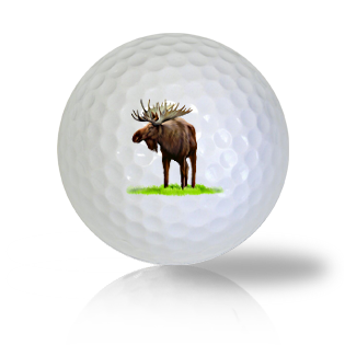 Moose Golf Balls - Half Price Golf Balls - Canada's Source For Premium Used & Recycled Golf Balls