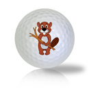 Beaver Golf Balls - Half Price Golf Balls - Canada's Source For Premium Used & Recycled Golf Balls