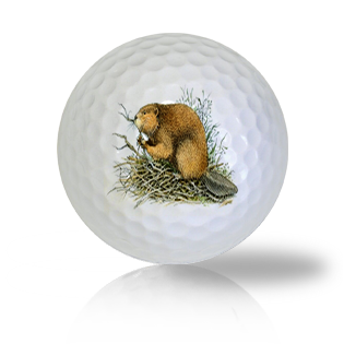 Beaver Golf Balls - Half Price Golf Balls - Canada's Source For Premium Used & Recycled Golf Balls