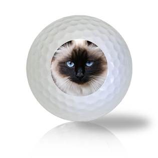 Birman Cat Golf Balls - Half Price Golf Balls - Canada's Source For Premium Used & Recycled Golf Balls