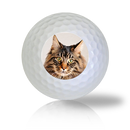 Maine Coon Cat Golf Balls - Half Price Golf Balls - Canada's Source For Premium Used & Recycled Golf Balls