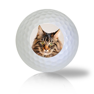 Maine Coon Cat Golf Balls - Half Price Golf Balls - Canada's Source For Premium Used & Recycled Golf Balls