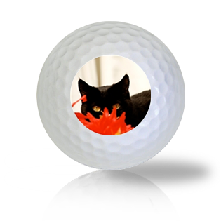 Ninja Cat Golf Balls - Half Price Golf Balls - Canada's Source For Premium Used & Recycled Golf Balls