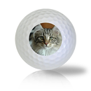 Norwegian Forest Cat Golf Balls - Half Price Golf Balls - Canada's Source For Premium Used & Recycled Golf Balls