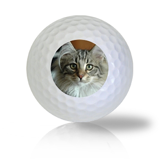 Norwegian Forest Cat Golf Balls - Half Price Golf Balls - Canada's Source For Premium Used & Recycled Golf Balls