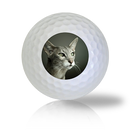 Oriental Cat Golf Balls - Half Price Golf Balls - Canada's Source For Premium Used & Recycled Golf Balls