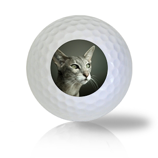 Oriental Cat Golf Balls - Half Price Golf Balls - Canada's Source For Premium Used & Recycled Golf Balls