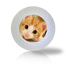 Cat Golf Balls - Half Price Golf Balls - Canada's Source For Premium Used & Recycled Golf Balls
