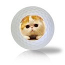 Cat Golf Balls - Half Price Golf Balls - Canada's Source For Premium Used & Recycled Golf Balls