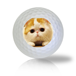Cat Golf Balls - Half Price Golf Balls - Canada's Source For Premium Used & Recycled Golf Balls