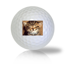Cat Golf Balls - Half Price Golf Balls - Canada's Source For Premium Used & Recycled Golf Balls