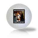 Cat Golf Balls - Half Price Golf Balls - Canada's Source For Premium Used & Recycled Golf Balls