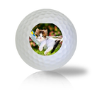 Cat Golf Balls - Half Price Golf Balls - Canada's Source For Premium Used & Recycled Golf Balls