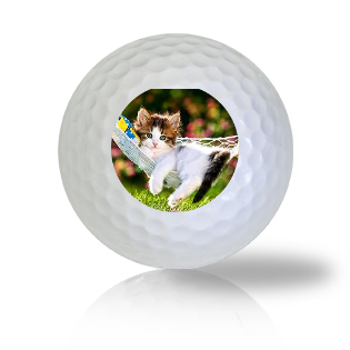 Cat Golf Balls - Half Price Golf Balls - Canada's Source For Premium Used & Recycled Golf Balls