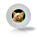 Cat Golf Balls - Half Price Golf Balls - Canada's Source For Premium Used & Recycled Golf Balls