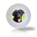Black Lab Golf Balls - Halfpricegolfballs