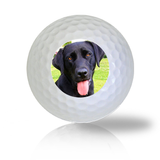 Black Lab Golf Balls - Halfpricegolfballs