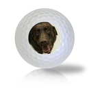 Chocolate Lab Golf Balls - Halfpricegolfballs