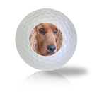 Cocker Spaniel Golf Balls - Halfpricegolfballs