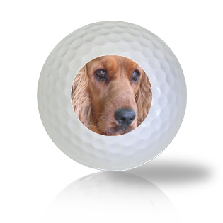 Cocker Spaniel Golf Balls - Halfpricegolfballs