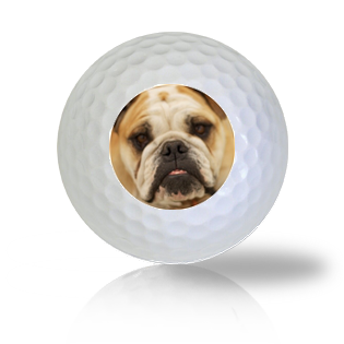 English Bulldog Golf Balls - Halfpricegolfballs