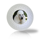 French Poodle Golf Balls - Halfpricegolfballs