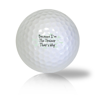 Funny Golf Balls - CafePress